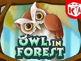Owl In Forest